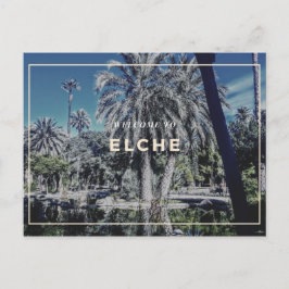 Elche Postcard Postkarte