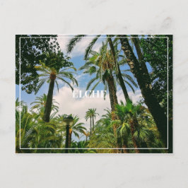 Elche Postcard Postkarte