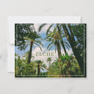 Elche Postcard Postkarte
