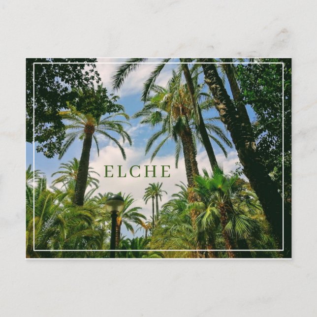 Elche Postcard Postkarte (Vorderseite)