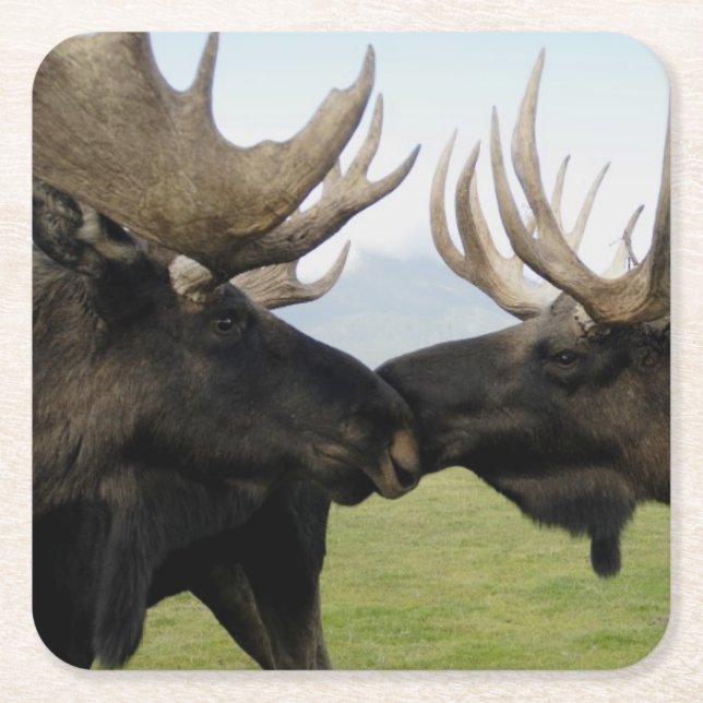 Elche Rechteckiger Pappuntersetzer (Vorderseite)