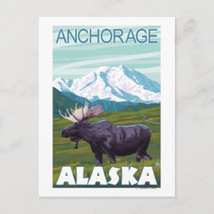 Elche Szene - Anchorage, Alaska Postkarte