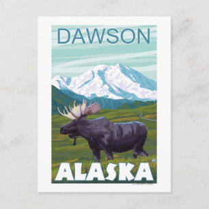 Elche Szene - Dawson, Alaska Postkarte