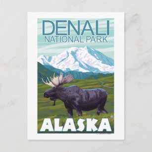 Elche Szene - Nationalpark Denali, Alaska Postkarte
