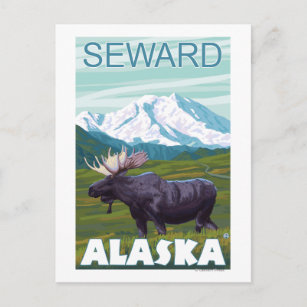Elche Szene - Seward, Alaska Postkarte