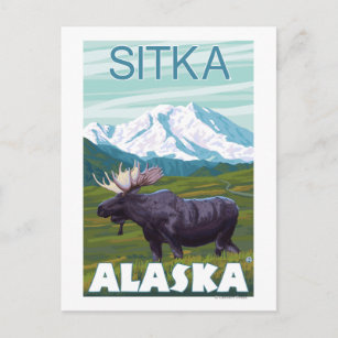 Elche Szene - Sitka, Alaska Postkarte