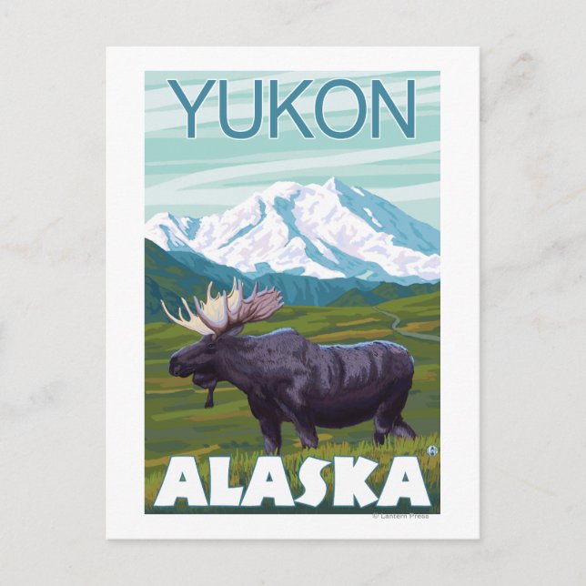 Elche Szene - Yukon, Alaska Postkarte (Vorderseite)