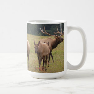 Elche Tasse