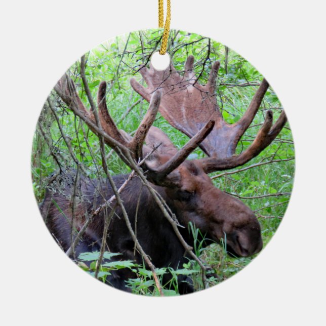 Elche und Loon Keramik Ornament (Vorne)