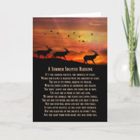 Elche und Sonnenuntergänge Sommersonnenwende Segnu