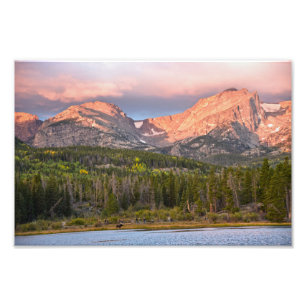 Elche und Touristen am Sprague Lake, Colorado Fotodruck