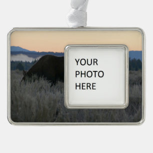 Elche weiden bei Sonnenaufgang am Grand Teton Rahmen-Ornament Silber