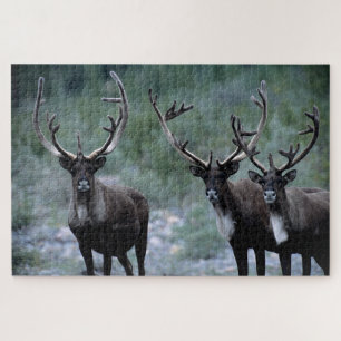 Elchherde Mt. Baring, Washington Puzzle