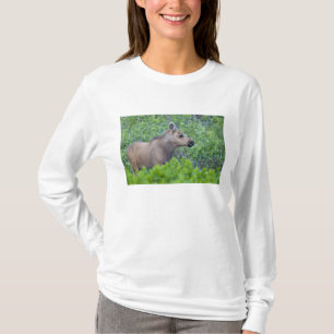 Elchkalb im Many Glacier Valley T-Shirt