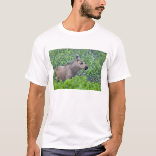 Elchkalb im Many Glacier Valley T-Shirt