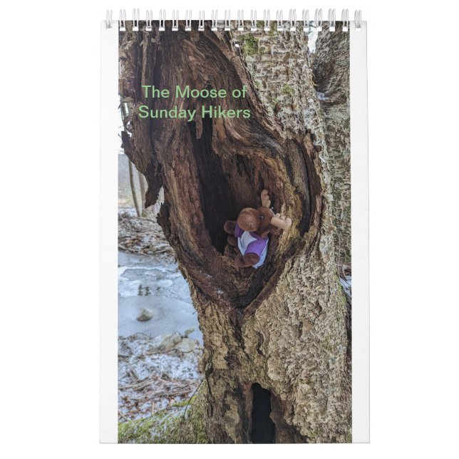 Elchkalender Kalender (Titelbild)