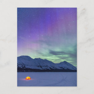 Elchpassage Northern Lights Kenai-Halbinsel Postkarte