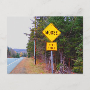 Elchquerungsschild, New Hampshire Postkarte