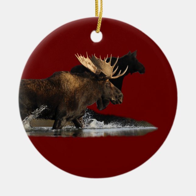 Elchspritzen Keramikornament (Vorne)