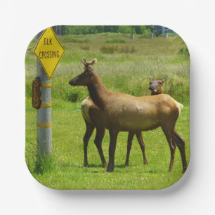 Elchüberquerung Kalifornien Wildlife-Fotografie Pappteller