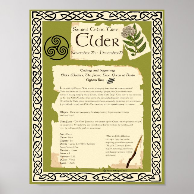 ELDER CELTIC SACRED TREM POSTER (Vorne)
