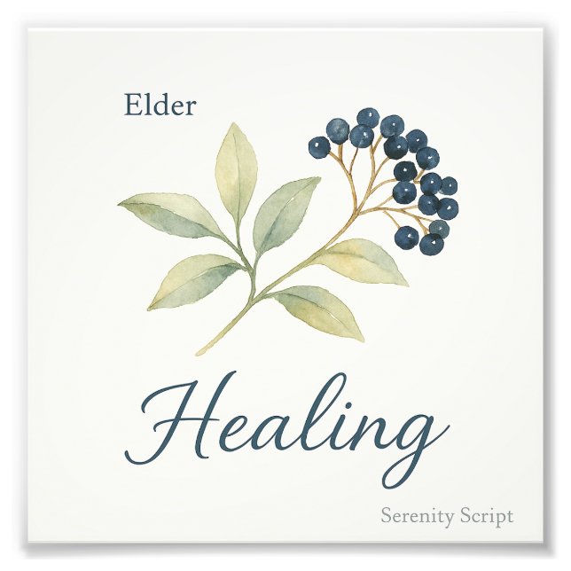 Elder — Healing Fotodruck (Vorne)