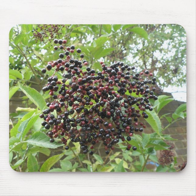 Elderberries Mousepad (Vorne)