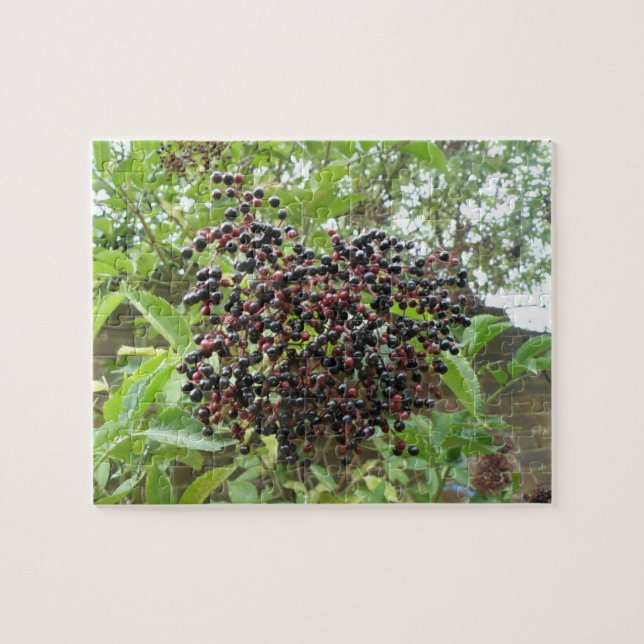 Elderberries Puzzle (Horizontal)