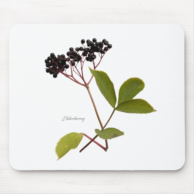Elderberry Mousepad (Vorne)