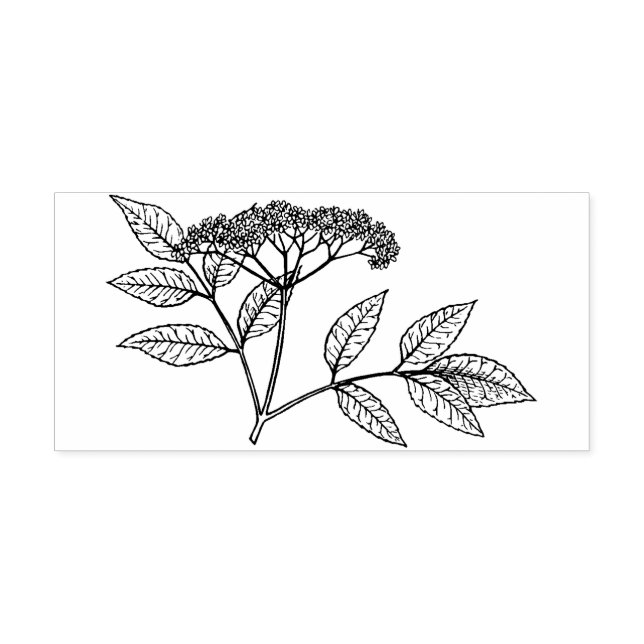 Elderberry plant  Rubber stamp Gummistempel (Prägung)