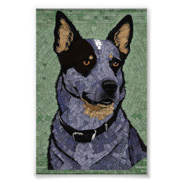 Eleanor the Blue Heeler Fotodruck