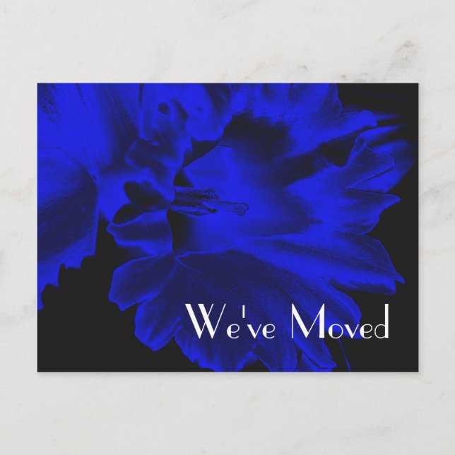 Electric Blue Daffodil New Address Floral Postcard Ankündigungspostkarte (Vorderseite)