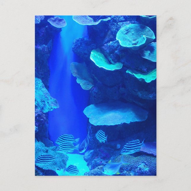 Electric Blue Fish Postcard Postkarte (Vorderseite)