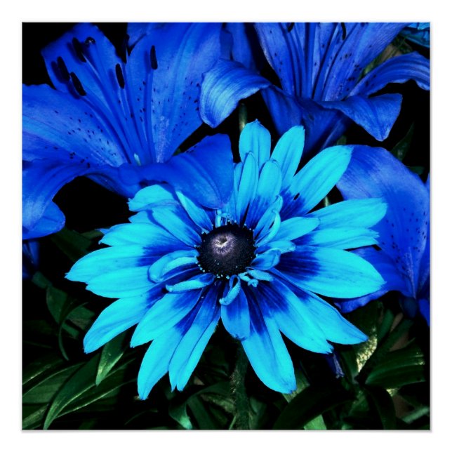 Electric Blue Flowers Poster (Vorderseite)
