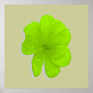 Electric Lime/ PopArt Flower Poster