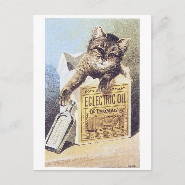 Electric Oil Kitten Trading Card Postkarte (Vorderseite)