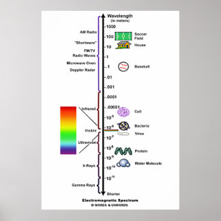 Electromagnetic Spectrum (Wavelengths Comparison) Poster