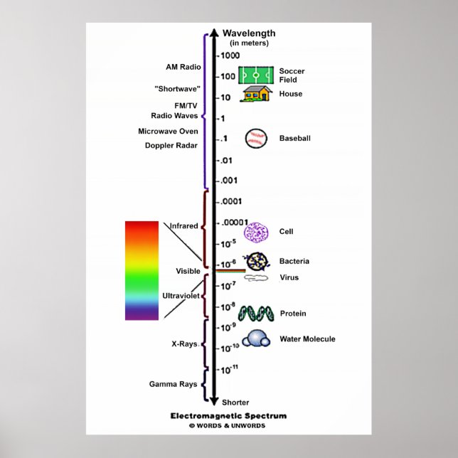Electromagnetic Spectrum (Wavelengths Comparison) Poster (Vorne)