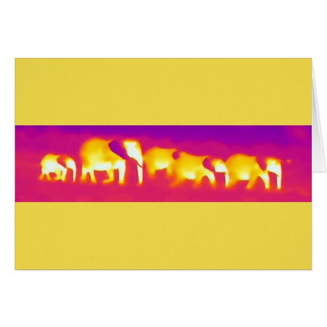 Elefant (Vorderseite (Horizontal))