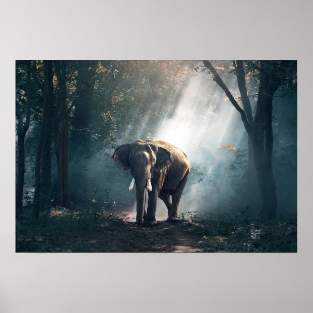 Elefant-1822636 Poster (Vorne)