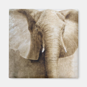 Elefant 2004 magnet