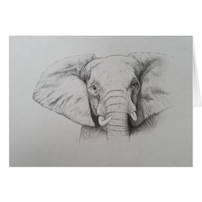Elefant 2011 (Vorderseite (Horizontal))