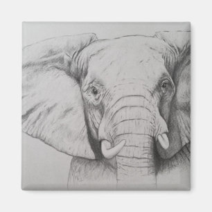 Elefant 2011 magnet