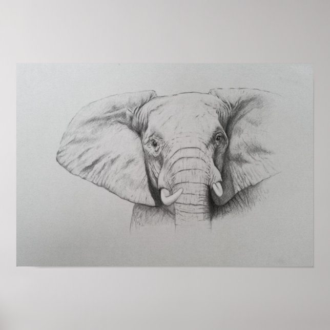 Elefant 2011 poster (Vorne)