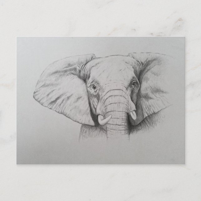 Elefant 2011 postkarte (Vorderseite)