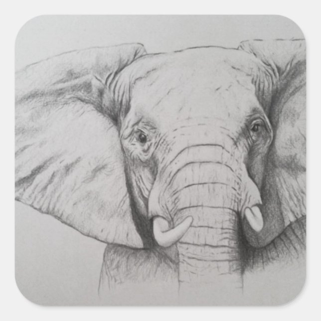 Elefant 2011 quadratischer aufkleber (Vorderseite)