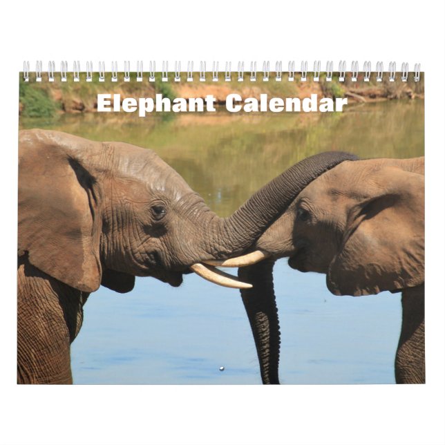 Elefant 2027  kalender (Titelbild)