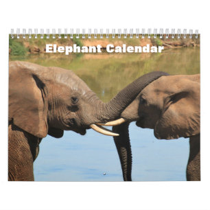 Elefant 2027 kalender