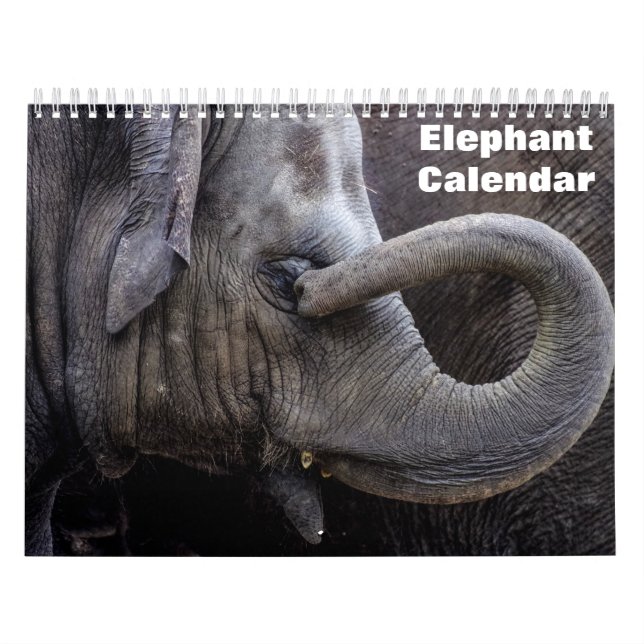 Elefant 2027  kalender (Titelbild)