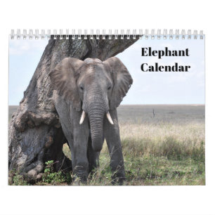 Elefant 2027 kalender